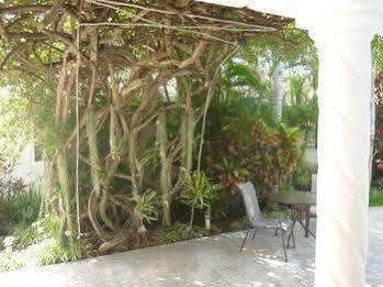 Baldwin'S Guest House كوزوميل المظهر الخارجي الصورة